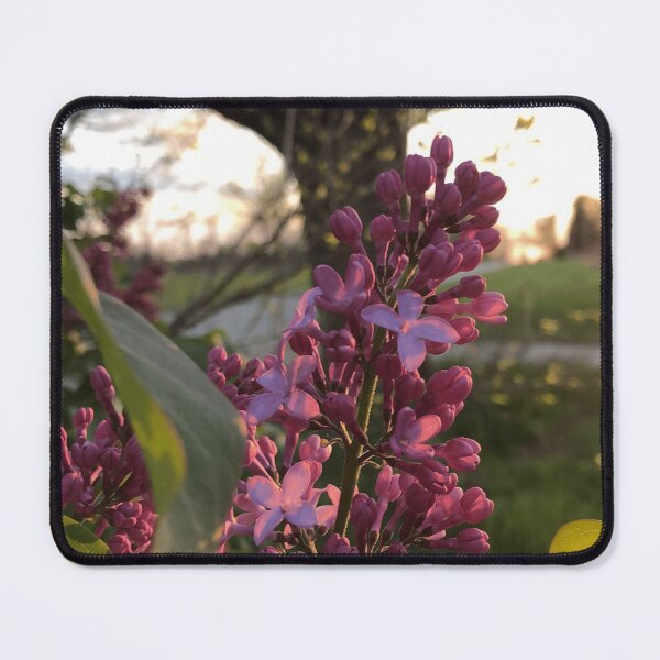 Item preview, Lilac Bush During Sunset designed and sold by SteeleChampagne.