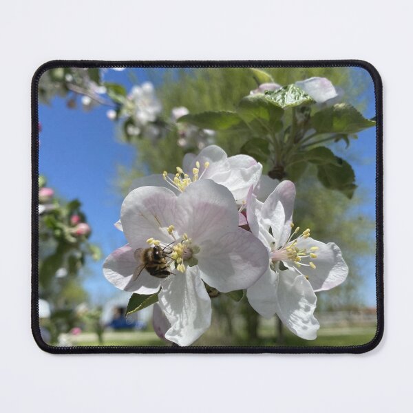 Item preview, Honeybee on Apple Blossom designed and sold by SteeleChampagne.