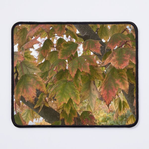 Item preview, Autumn Red Maple Leaves designed and sold by SteeleChampagne.