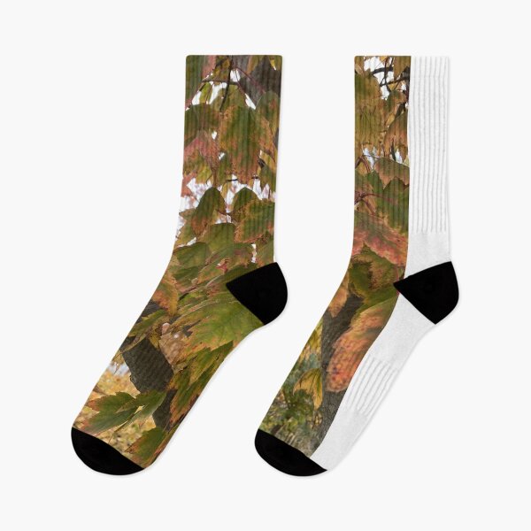 Item preview, Autumn Red Maple Leaves designed and sold by SteeleChampagne.