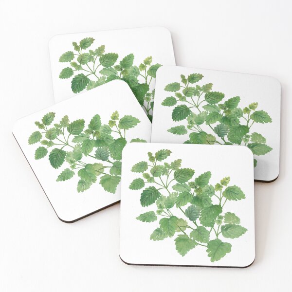 Item preview, February 11th birthday flower Lemon Balm designed and sold by birthflower.