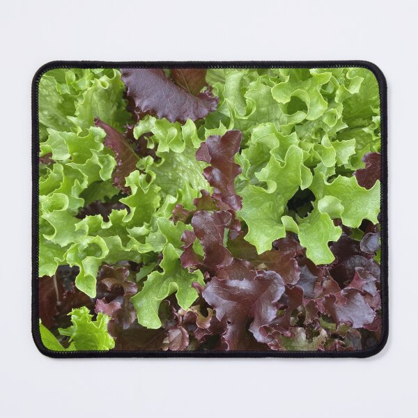 Item preview, Waves of Lettuce designed and sold by SteeleChampagne.