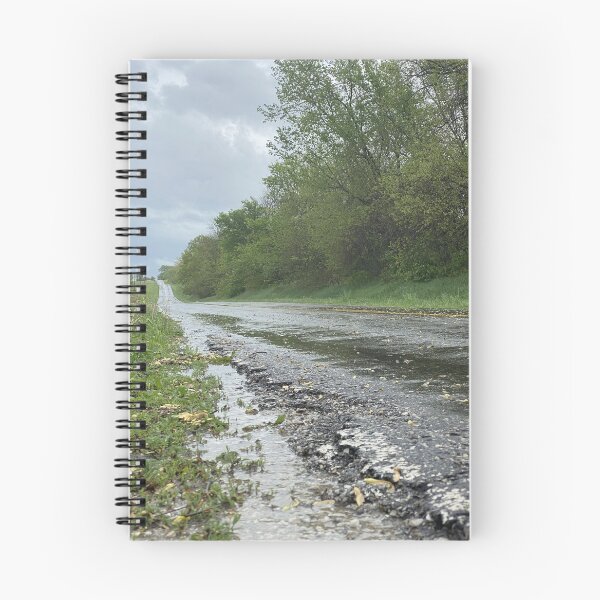 Item preview, Wet Road on Cloudy Day designed and sold by SteeleChampagne.