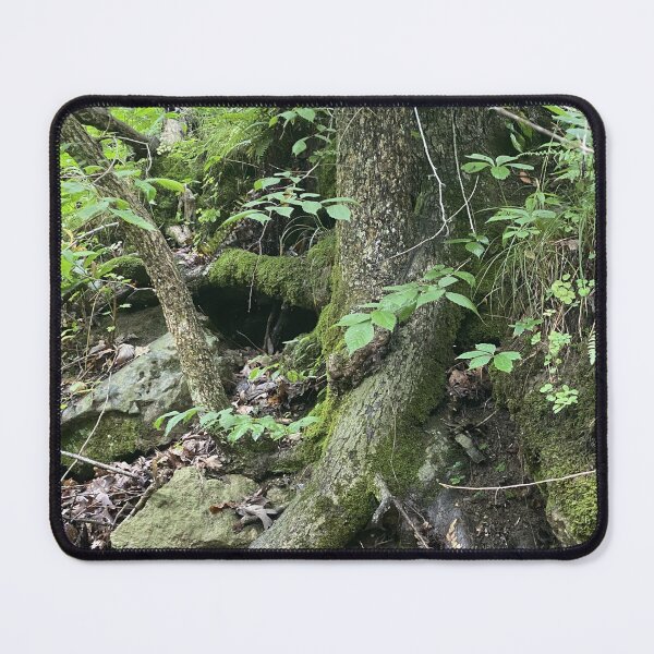 Item preview, Exposed Roots and Moss designed and sold by SteeleChampagne.