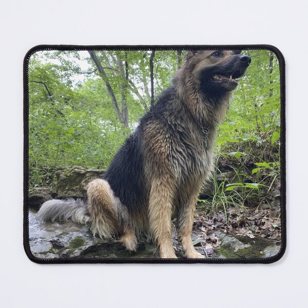 Item preview, German Shepherd on a Rainy Day designed and sold by SteeleChampagne.