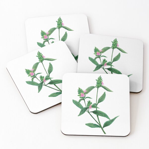 Item preview, Flor de cumpleaños del 12 de febrero: Justicia procumbens designed and sold by birthflower.