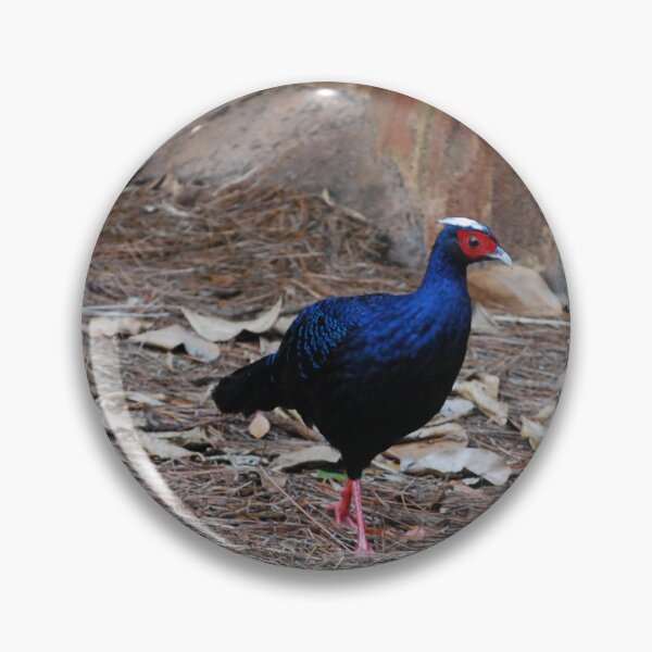 Item preview, Vietnamese Pheasant Strut designed and sold by JustCritters.