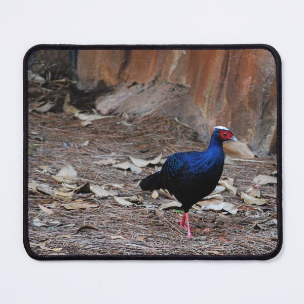 Item preview, Vietnamese Pheasant Strut designed and sold by JustCritters.