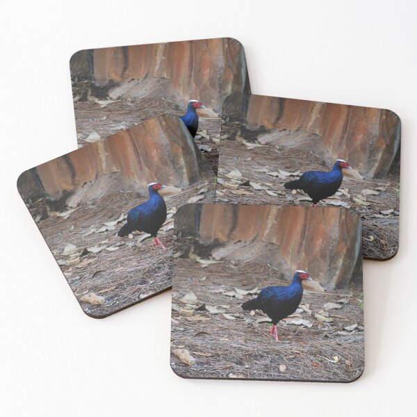 Item preview, Vietnamese Pheasant Strut designed and sold by JustCritters.