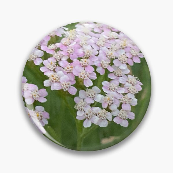 Item preview, Yarrow for No Sorrow 5 designed and sold by Abeink1030.