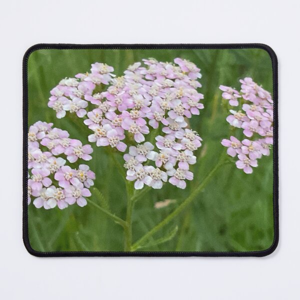 Item preview, Yarrow for No Sorrow 5 designed and sold by Abeink1030.