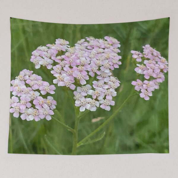 Item preview, Yarrow for No Sorrow 5 designed and sold by Abeink1030.