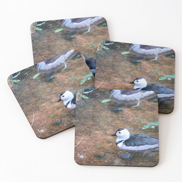 Item preview, Indian Pygmy Duck Reflection designed and sold by JustCritters.