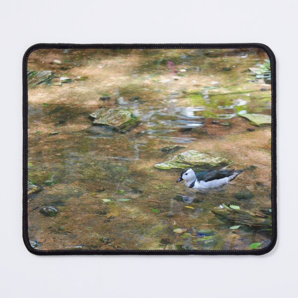 Item preview, Indian Pygmy Goose Serene designed and sold by JustCritters.