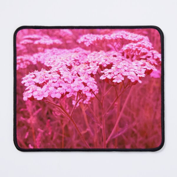 Item preview, Yarrow for No Sorrow 2 designed and sold by Abeink1030.