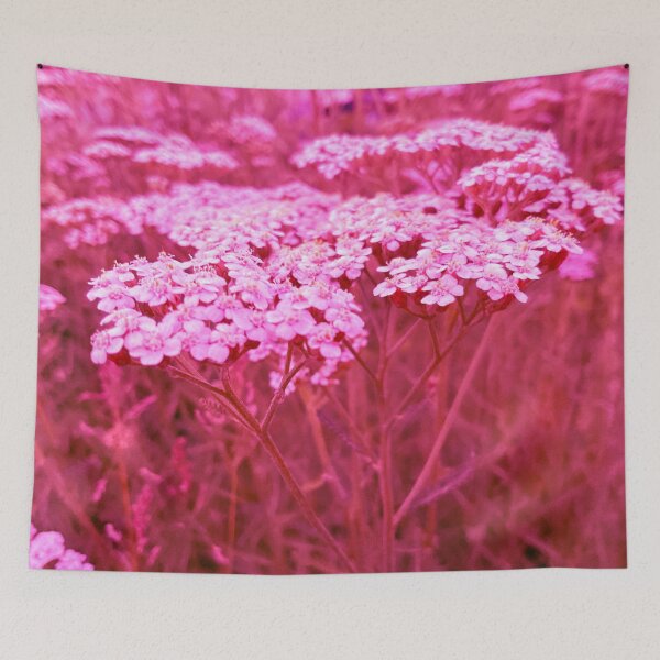 Item preview, Yarrow for No Sorrow 2 designed and sold by Abeink1030.