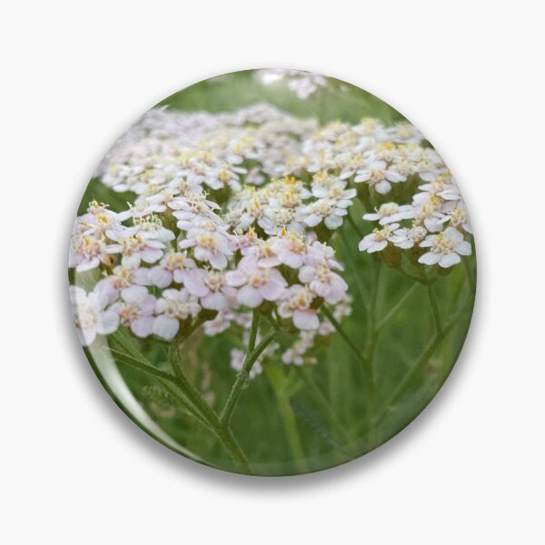 Item preview, Yarrow for No Sorrow designed and sold by Abeink1030.