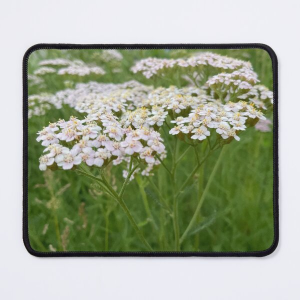 Item preview, Yarrow for No Sorrow designed and sold by Abeink1030.