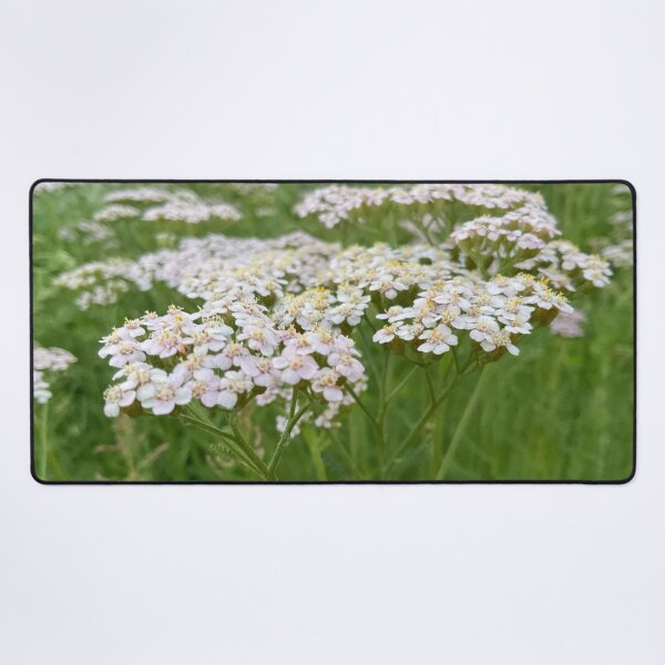 Item preview, Yarrow for No Sorrow designed and sold by Abeink1030.