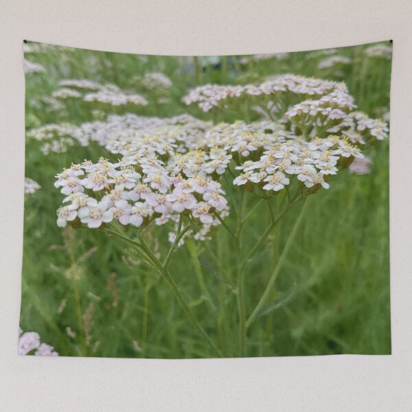 Item preview, Yarrow for No Sorrow designed and sold by Abeink1030.