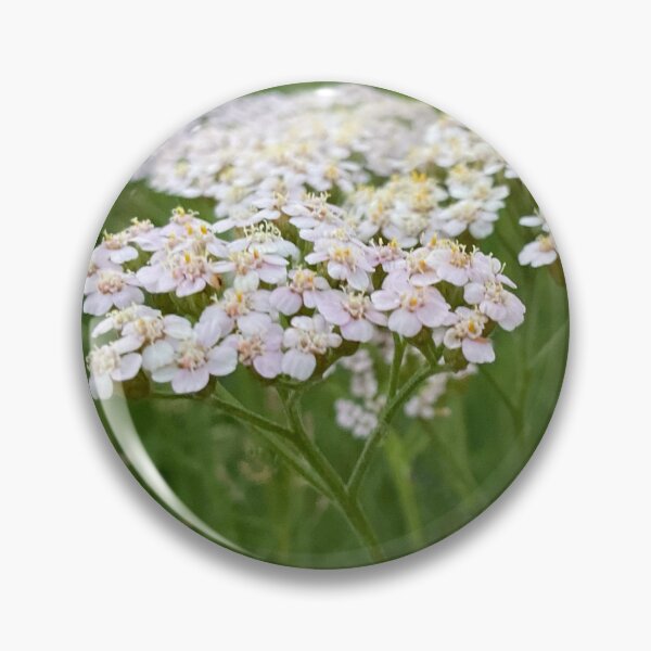 Item preview, Yarrow for No Sorrow 3 designed and sold by Abeink1030.