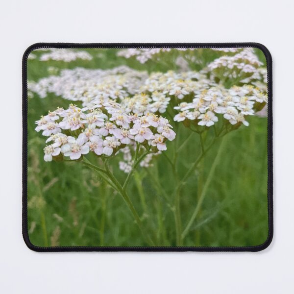 Item preview, Yarrow for No Sorrow 3 designed and sold by Abeink1030.