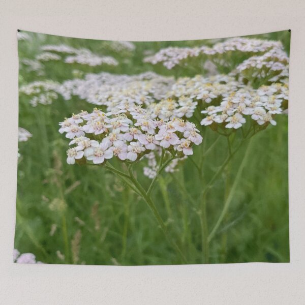 Item preview, Yarrow for No Sorrow 3 designed and sold by Abeink1030.