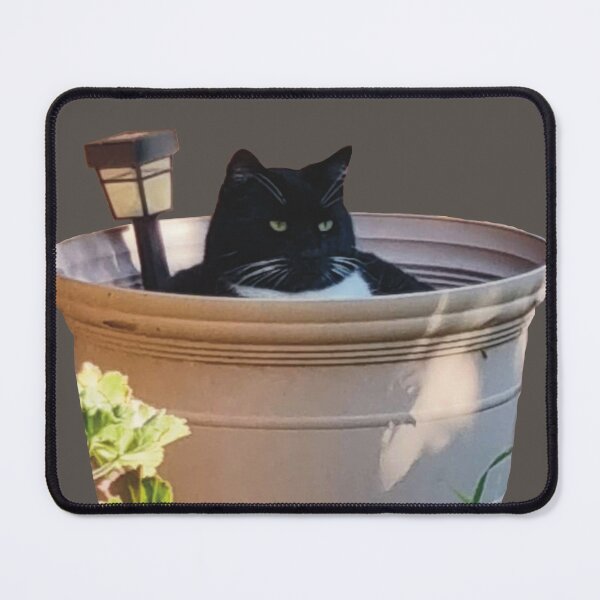 Item preview, Silly Cat designed and sold by Jesskateart.