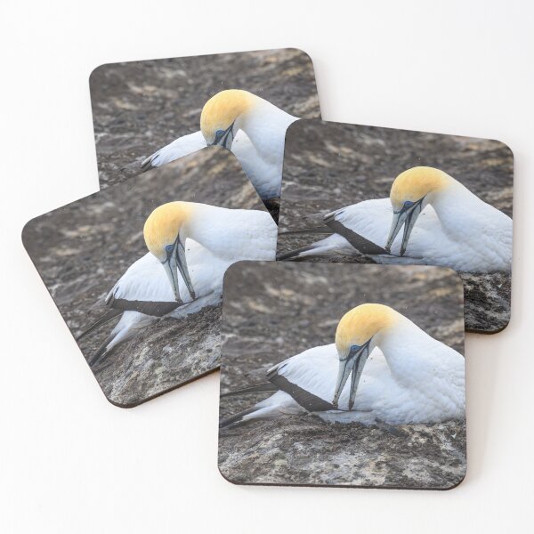 Item preview, Nest Duty designed and sold by Jan Fijolek.