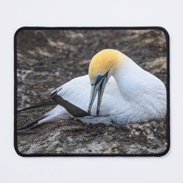 Item preview, Nest Duty designed and sold by Jan Fijolek.