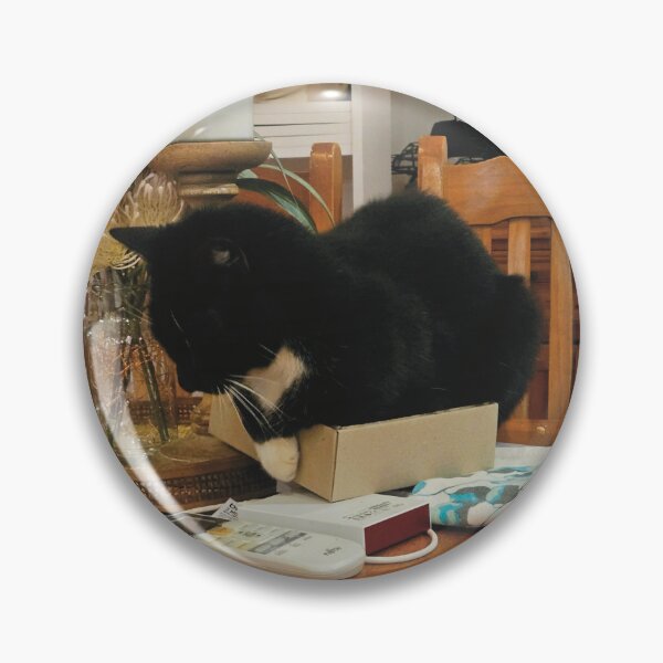 Item preview, Cat in Box designed and sold by Jesskateart.