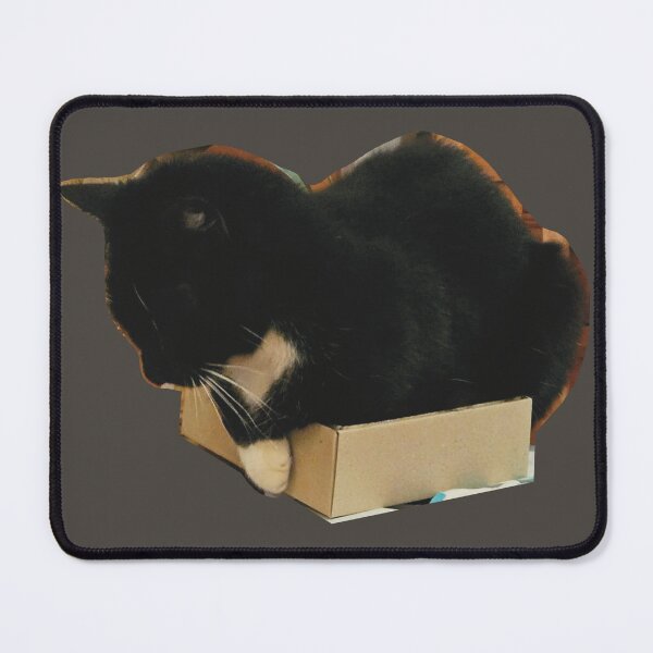 Item preview, Cat in Box designed and sold by Jesskateart.