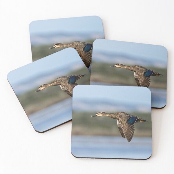 Item preview, Pacific Black Duck Over Wilson Inlet designed and sold by Jan Fijolek.