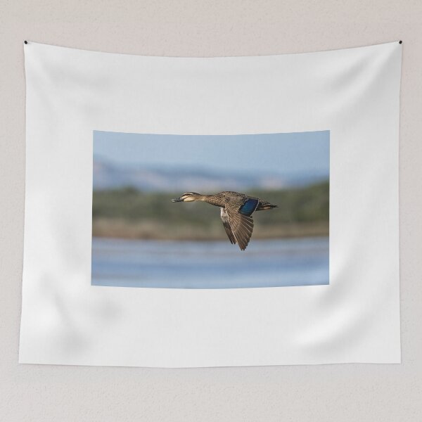 Item preview, Pacific Black Duck Over Wilson Inlet designed and sold by Jan Fijolek.