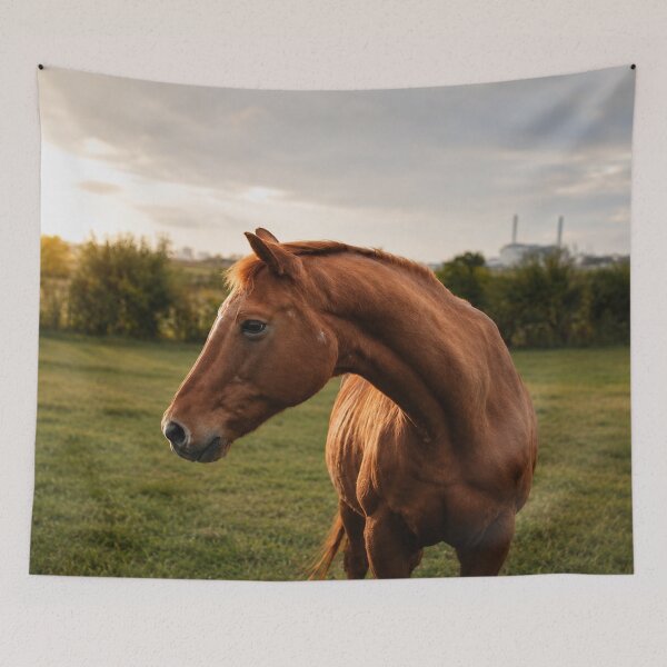 Item preview, Golden Hour Grace designed and sold by AutumnLeAnnDesigns.