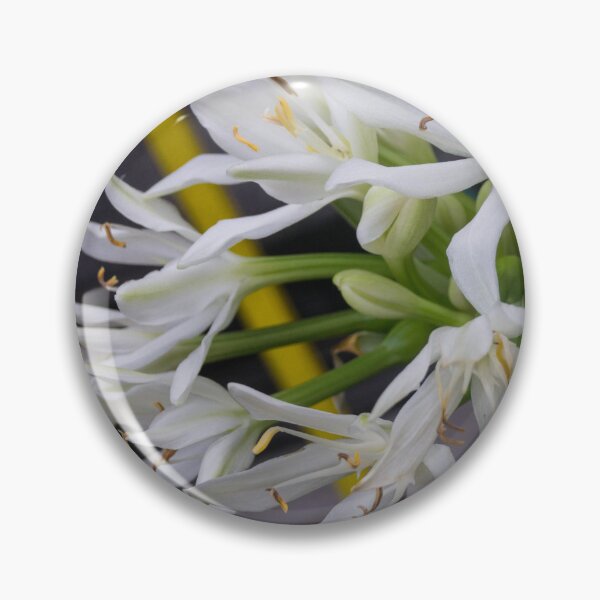 Item preview, Cardwell Lily or Brisbane Lily designed and sold by ROSE ANN BANILAR.