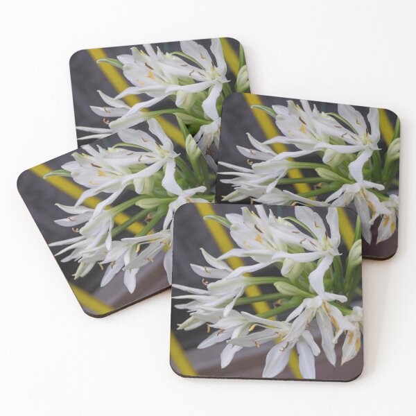 Item preview, Cardwell Lily or Brisbane Lily designed and sold by ROSE ANN BANILAR.