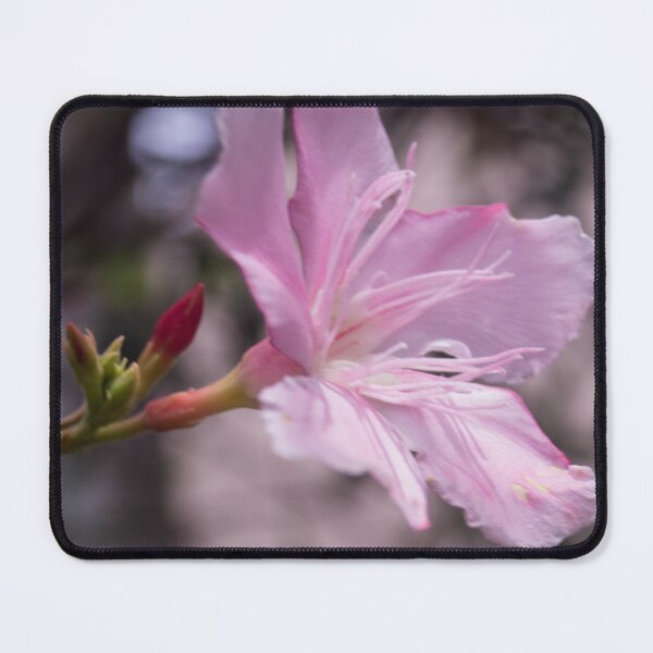 Item preview, Pink Oleander designed and sold by ROSE ANN BANILAR.