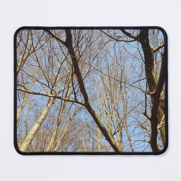 Item preview, Forest in March designed and sold by Dniprianka.