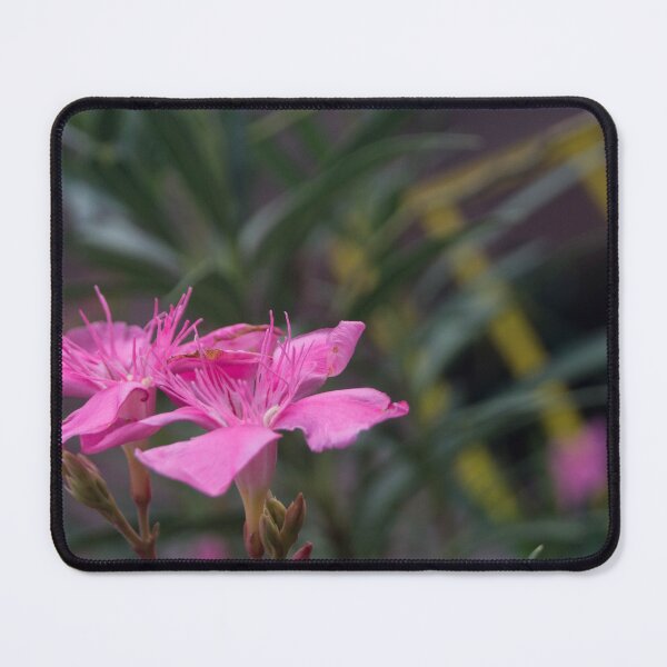 Item preview, Adelfa or Rose Laurel designed and sold by ROSE ANN BANILAR.