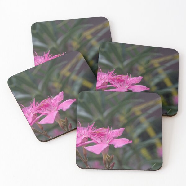 Item preview, Adelfa or Rose Laurel designed and sold by ROSE ANN BANILAR.