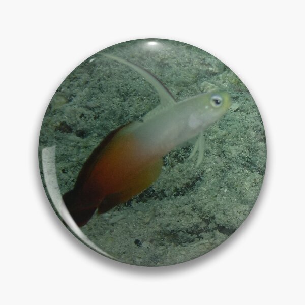 Item preview, Synchronized Firefish Pair: Ishigaki Coral Reef Art designed and sold by Mayuri Japan Studio.