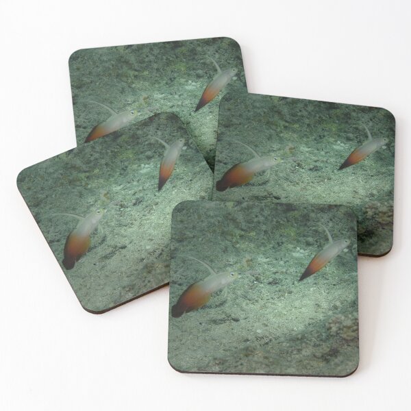 Item preview, Synchronized Firefish Pair: Ishigaki Coral Reef Art designed and sold by Mayuri Japan Studio.