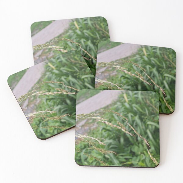 Item preview, Johnsongrass designed and sold by ROSE ANN BANILAR.