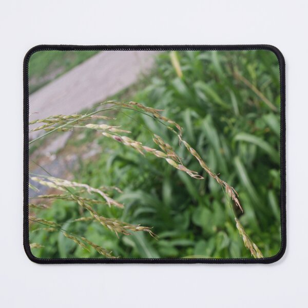 Item preview, Johnsongrass designed and sold by ROSE ANN BANILAR.