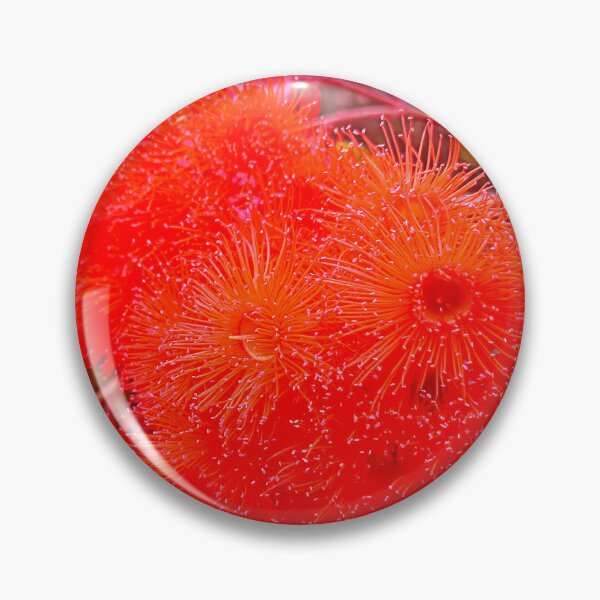 Item preview, Brilliant Red Flowering Gum Tree designed and sold by jaynerushton.
