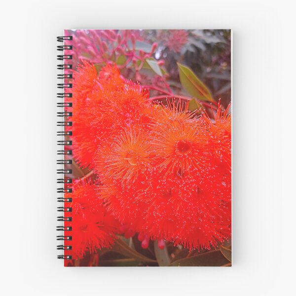 Item preview, Brilliant Red Flowering Gum Tree designed and sold by jaynerushton.