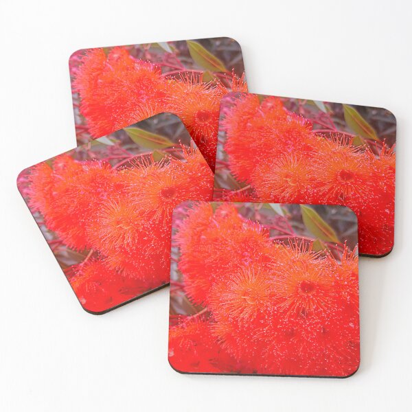 Item preview, Brilliant Red Flowering Gum Tree designed and sold by jaynerushton.