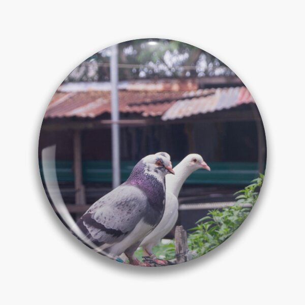 Item preview, Racing Homer pigeons designed and sold by ROSE ANN BANILAR.