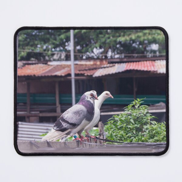 Item preview, Racing Homer pigeons designed and sold by ROSE ANN BANILAR.